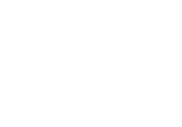 Miami Dice - logo