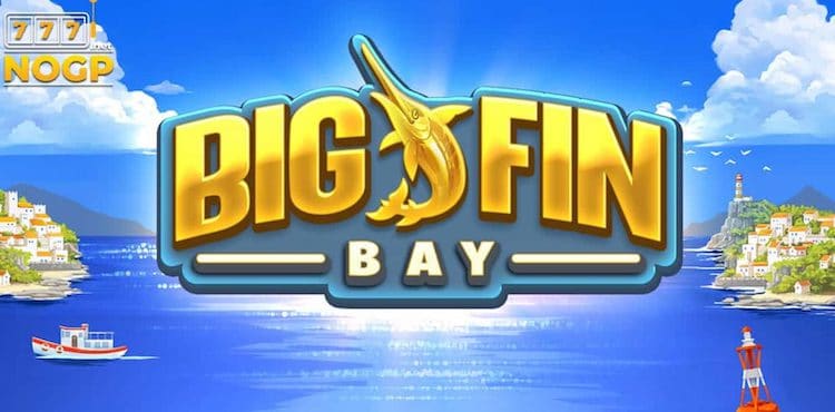 big fin bay