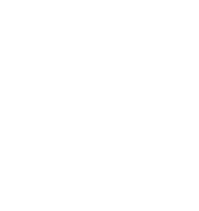 Iron Dog Studio