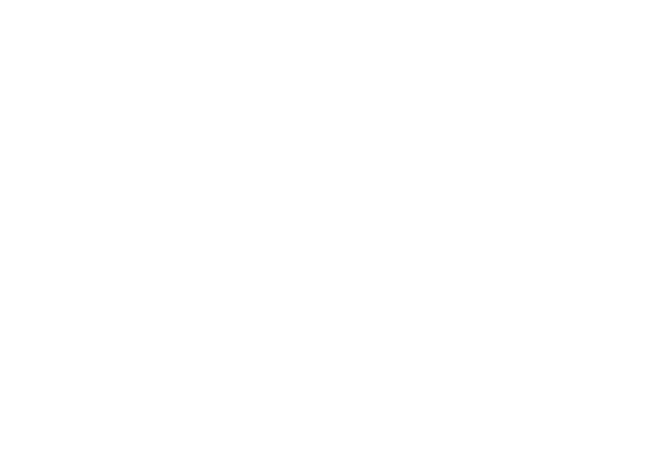 Miami Dice