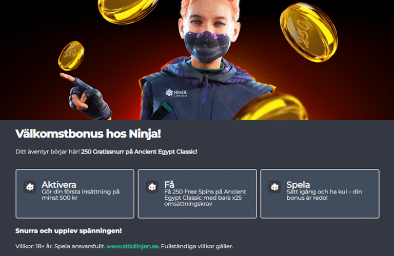 Ninja Casino
