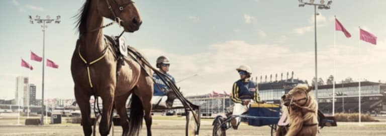 Regeringen vill minska statens grepp om ATG