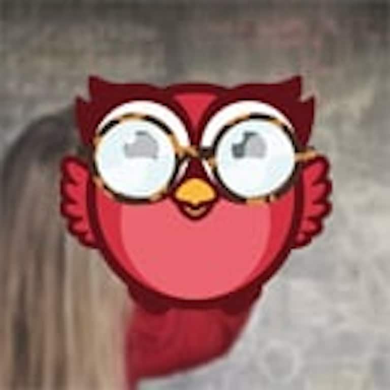 owlie study mini