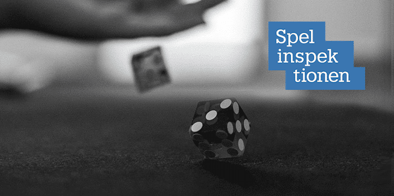 Spelinspektionen