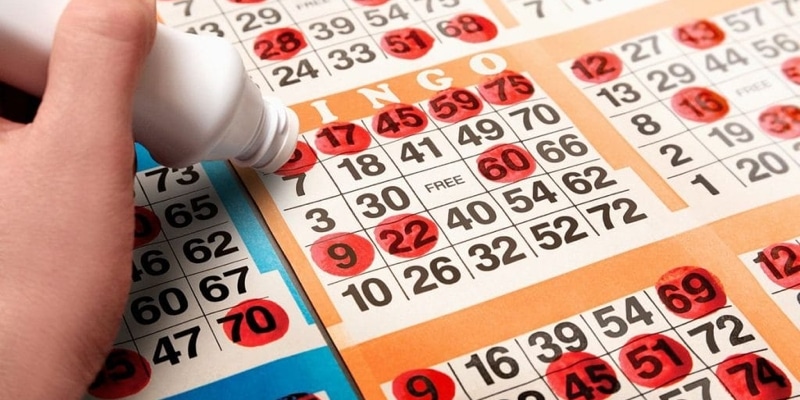 Why Do Older People Love the Bingo?